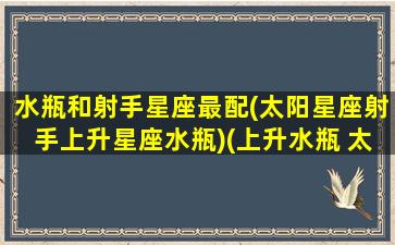 水瓶和射手星座最配(太阳星座射手上升星座水瓶)(上升水瓶 太阳射手)